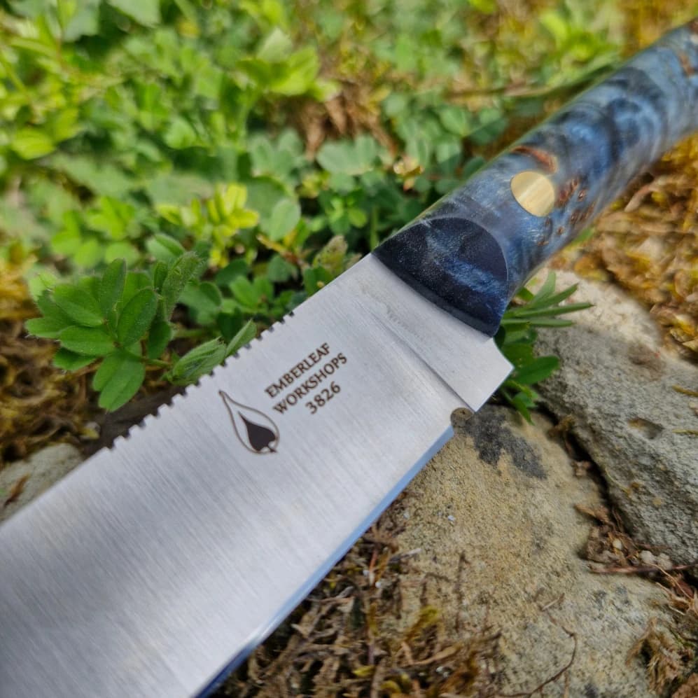 Ventari v1 view 2