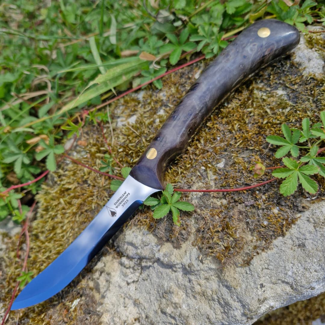 Cael AR v2 view 1