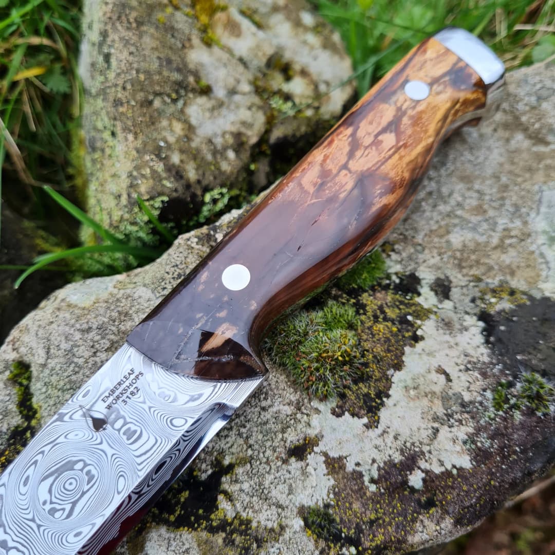Bran v1 Special Edition view 2