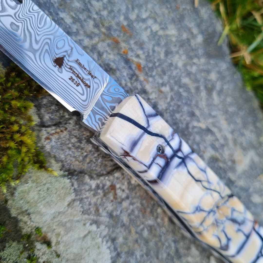 Aquila Special Edition view 2