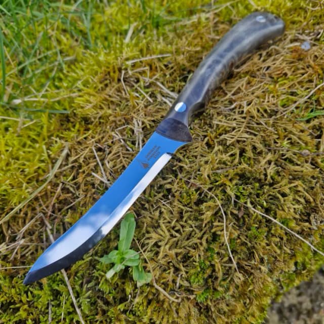 Cael AR v2