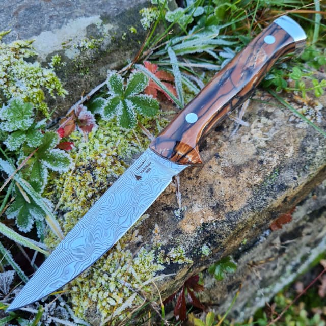 Garron v2 Special Edition