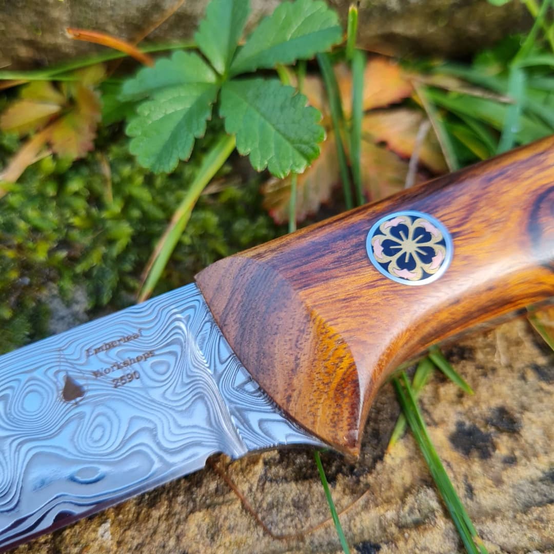 Garron v2 Special Edition view 2