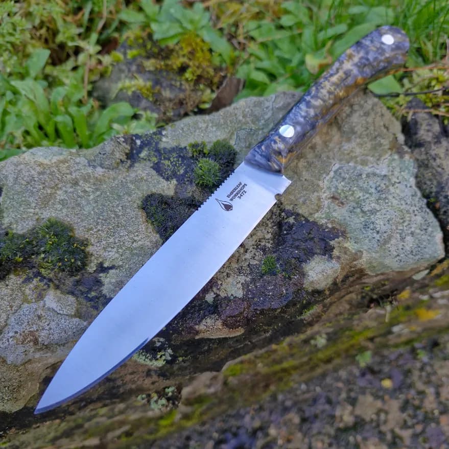 Ventari v1 view 1