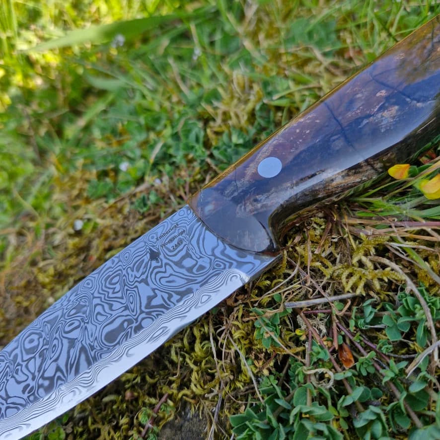 Bran v2 Special Edition view 5