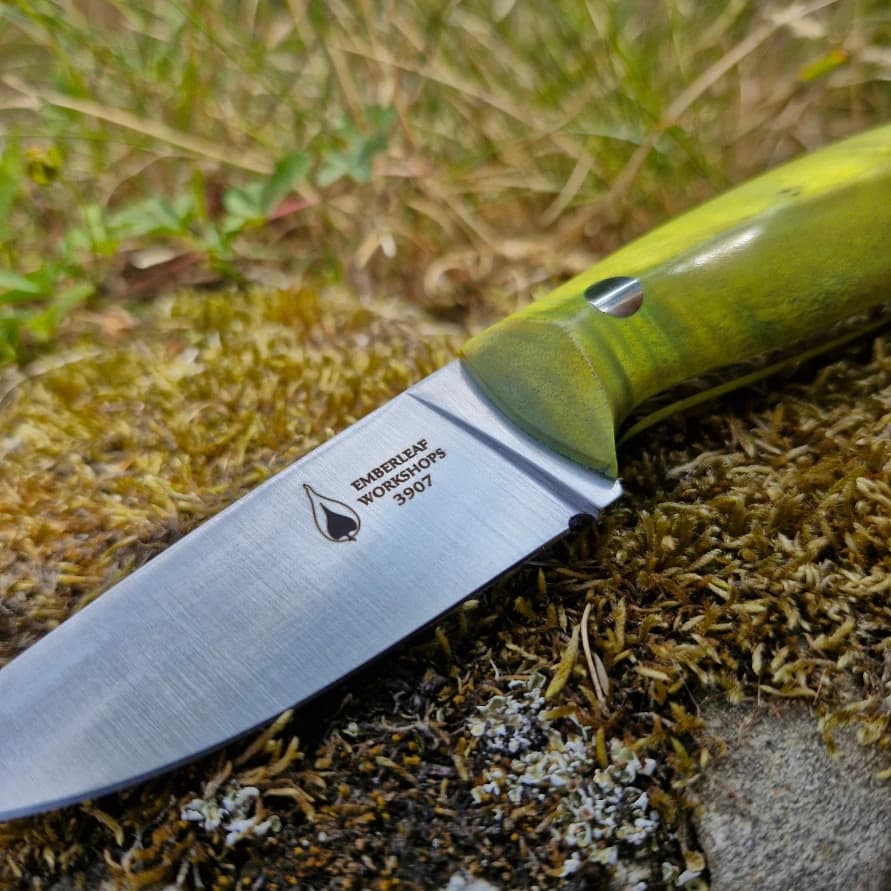 Strix v1 view 2