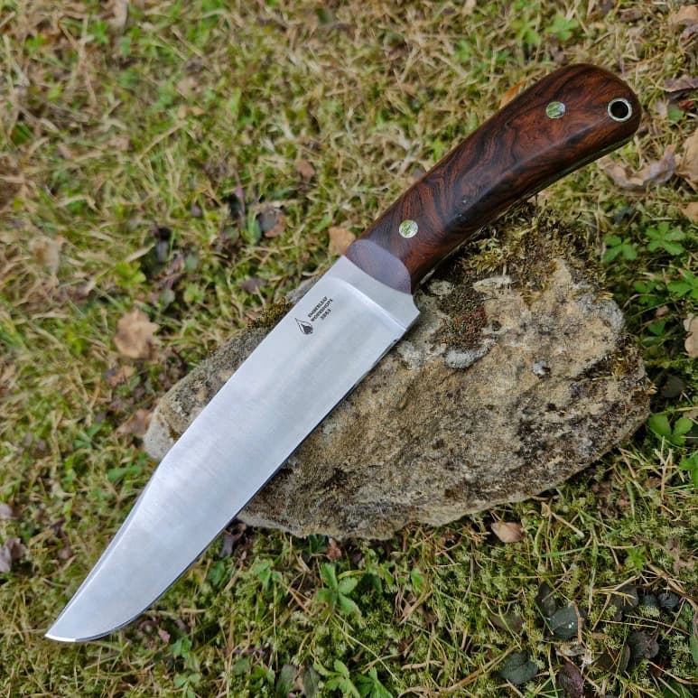 Sacranie v1 view 1