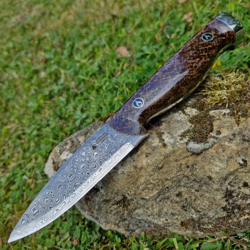 Bran v1 Special Edition view 1