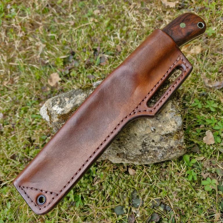 Sacranie v1 view 3
