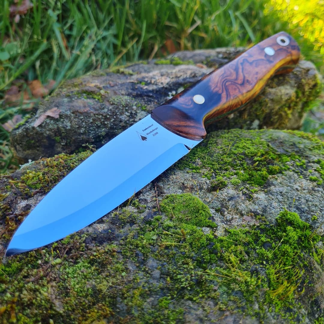 Bran v1 view 1