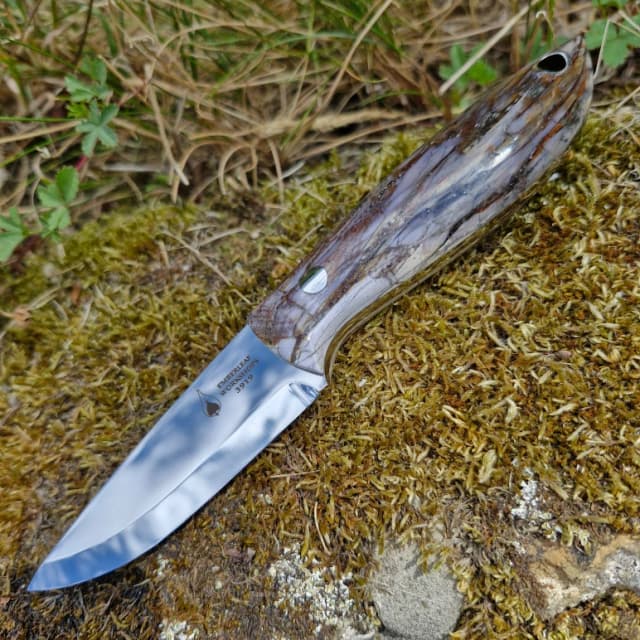Strix v1