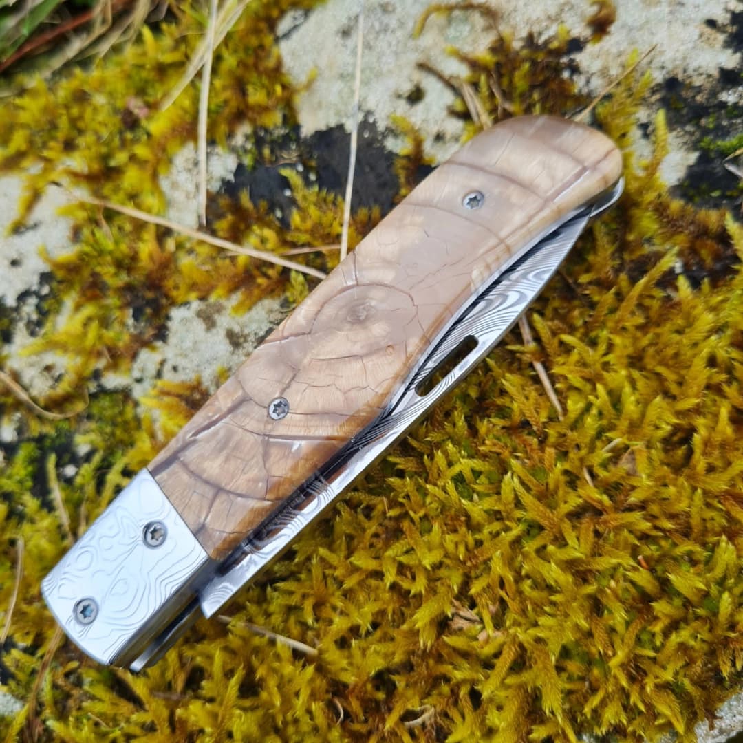 Aquila Slipjoint view 2