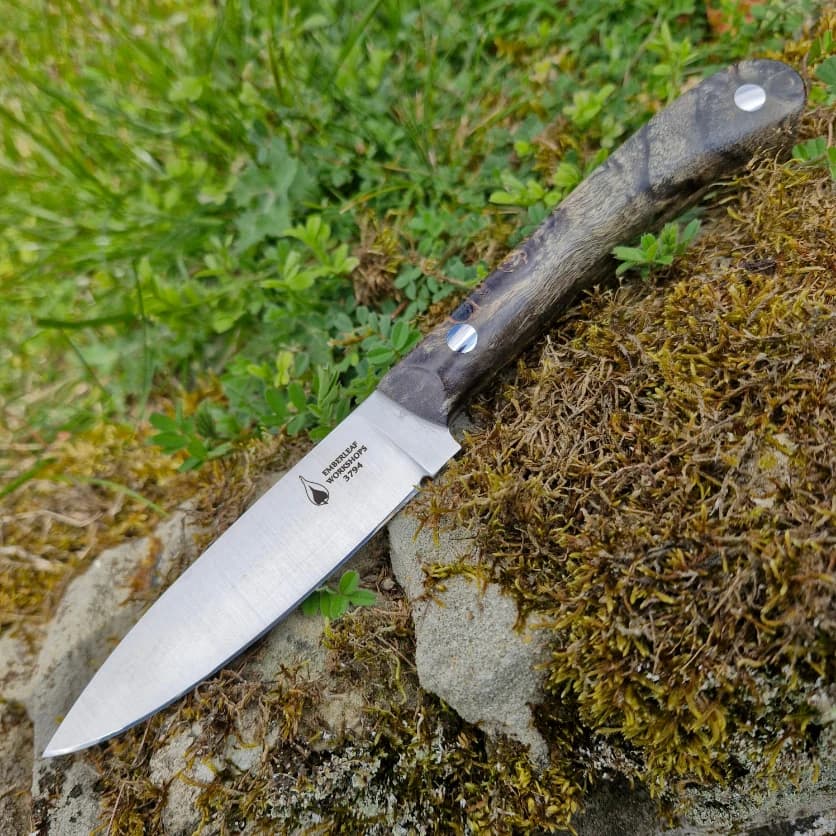 Ventari v2 view 1