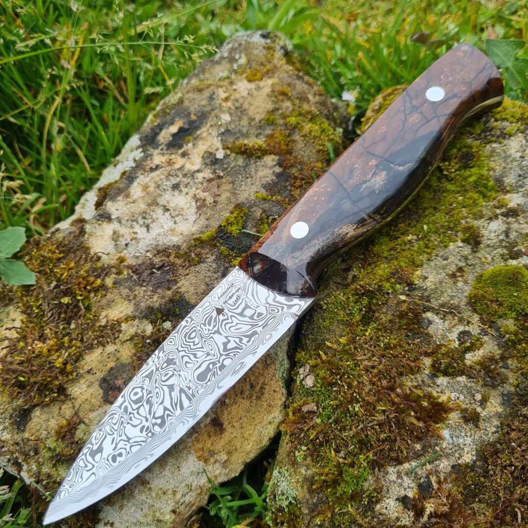 Bran v2 Special Edition view 7