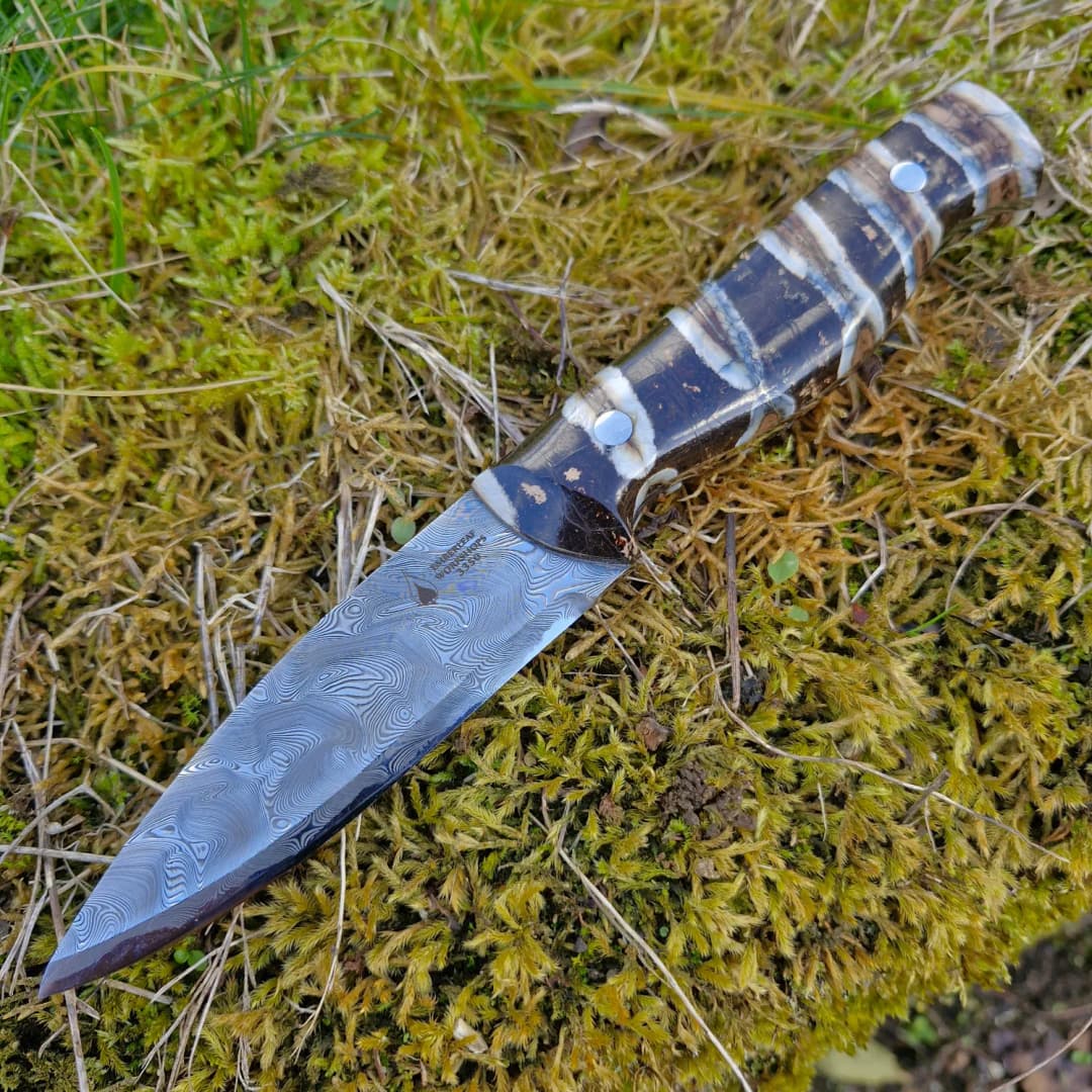 Bran v2 Special Edition view 1