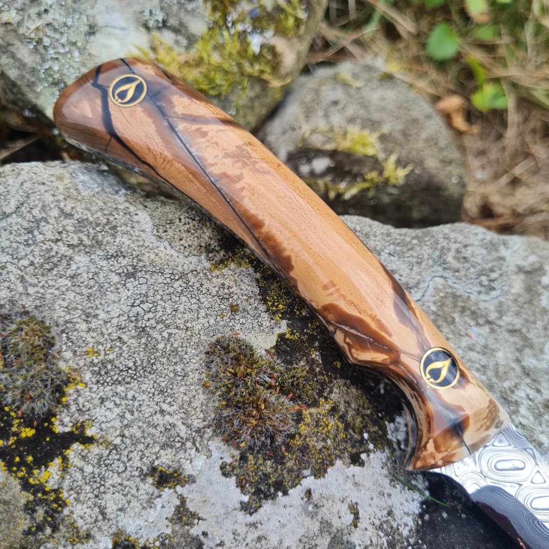 Cael v2 Special Edition view 4