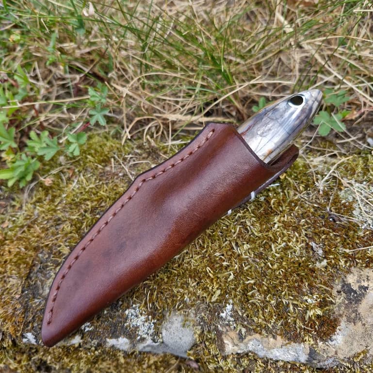 Strix v1 view 3