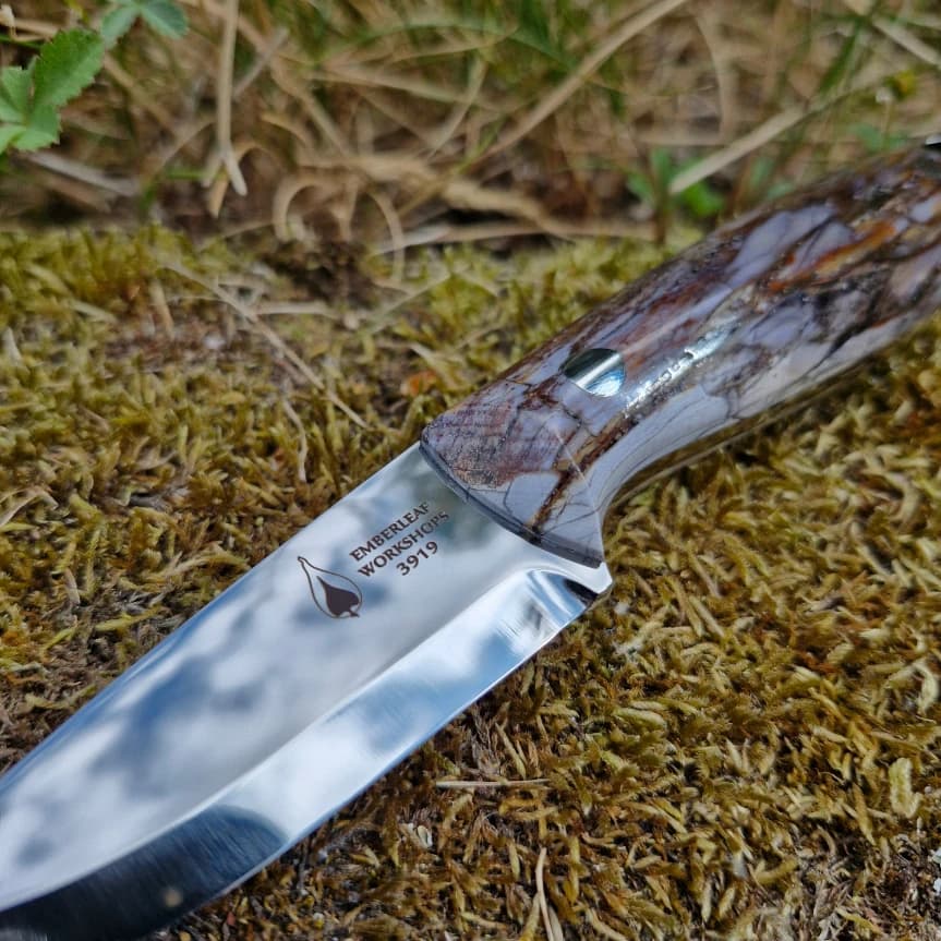 Strix v1 view 2