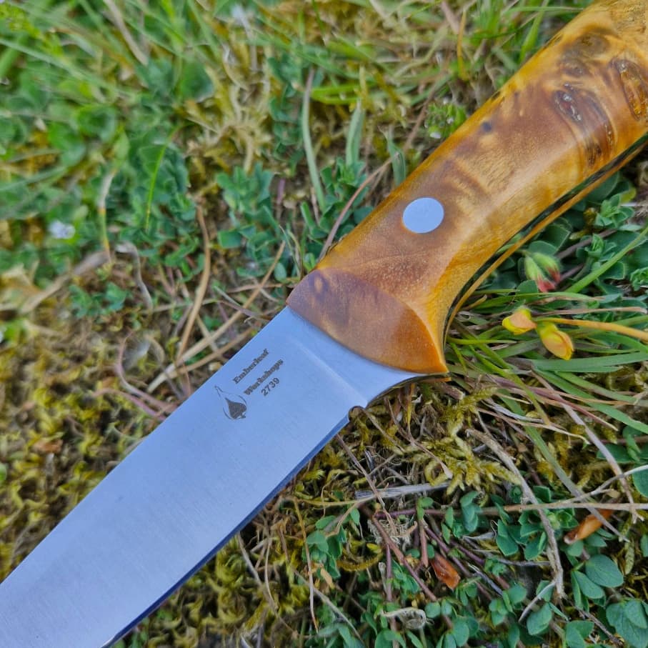 Garron v2 view 2