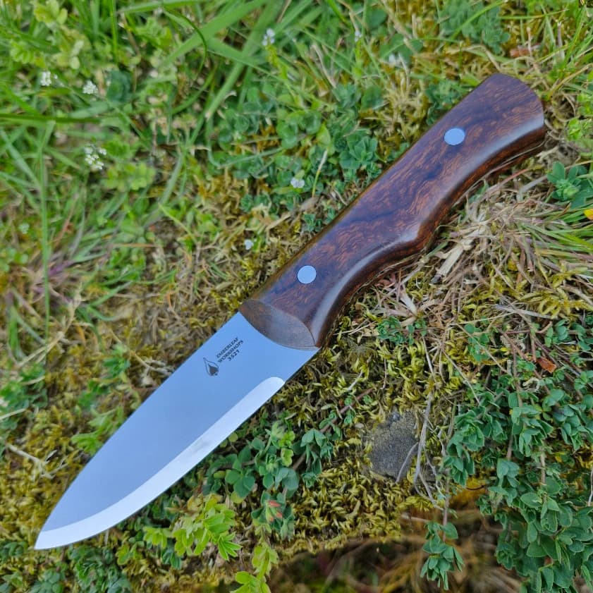 Rike v1 view 2
