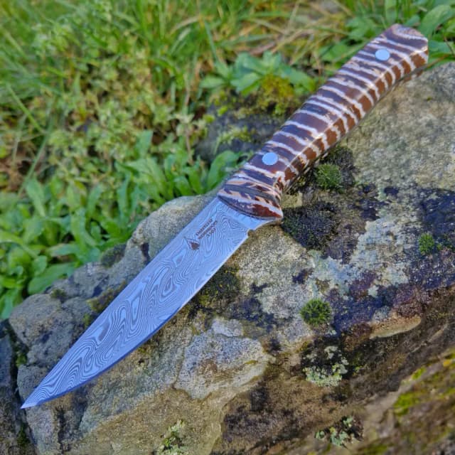 Garron v2 Special Edition