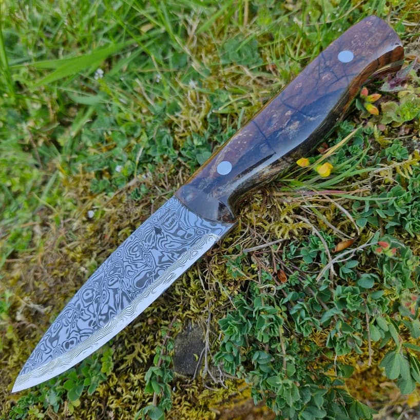 Bran v2 Special Edition view 4