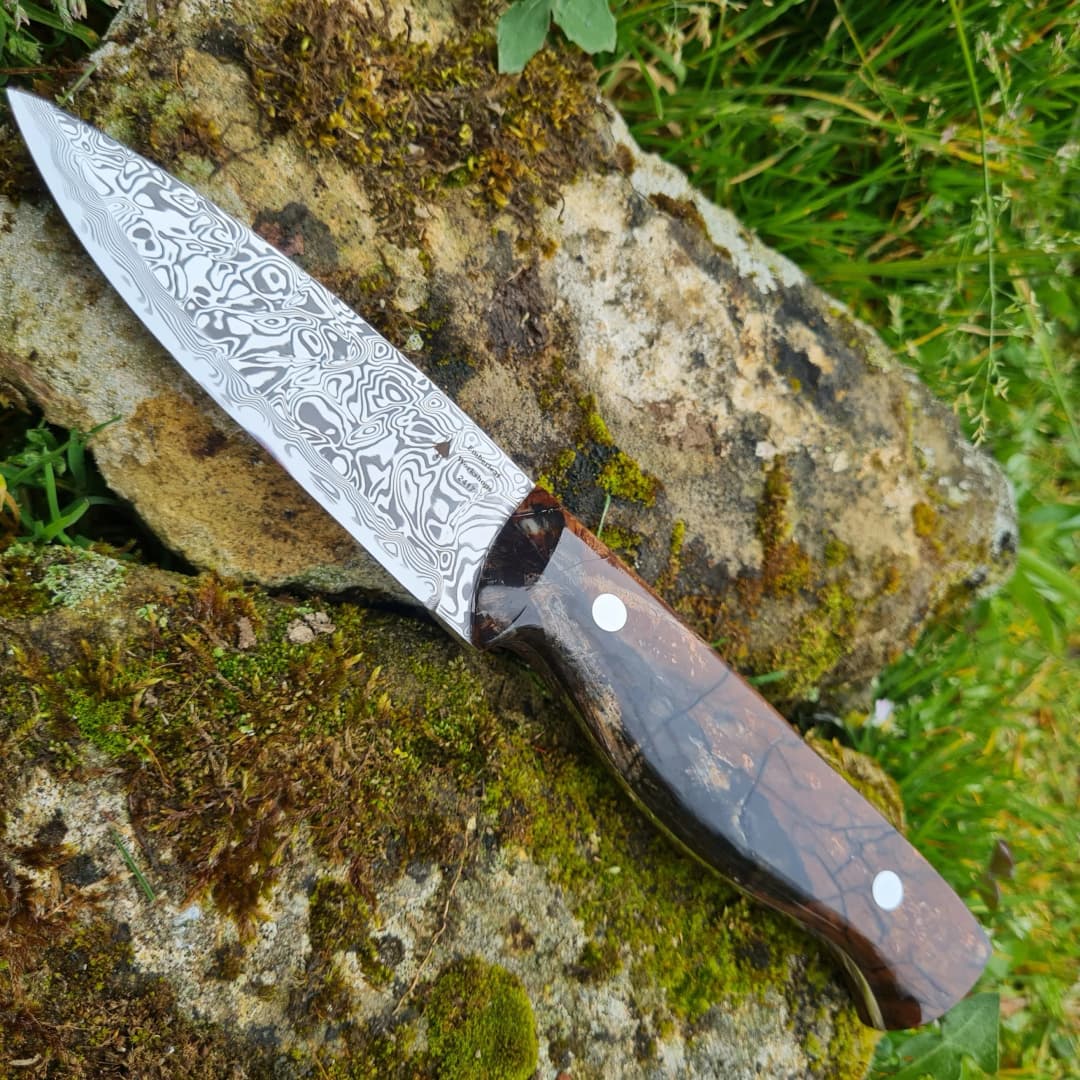 Bran v2 Special Edition view 1