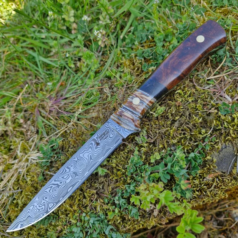 Garron v1 Special Edition view 2