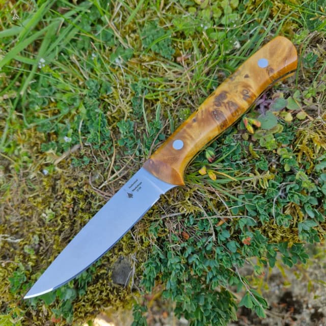 Garron v2